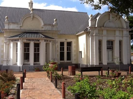 The Old Oak Slave Tree